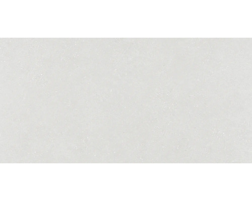 Wand- en vloertegel Alpen wit mat 60x120 cm gerectificeerd