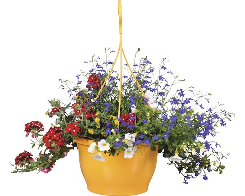 Hangpot met verschillende kleurrijke zomerbloemen