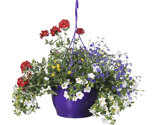 Hangmand met rode, blauwe, gele en witte bloemen