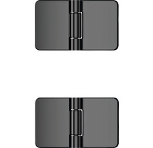 BASANO Reserve scharnieren zwart