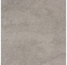 Wand- en vloertegel Udine greige 60x60 cm gerectificeerd