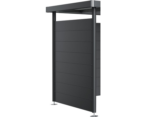 BIOHORT Wandelement tbv dakaanbouw HighLine H2 antraciet-metallic 157x2,5x181 cm