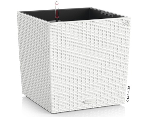 LECHUZA All-in-One Set Plantenbak Cube Kunststof Wit 50 cm x 50 cm x 50 cm Witte, vierkante plantenbak met irrigatiesysteem en waterniveau-indicator.