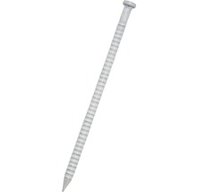 DRESSELHAUS Ringnagel 1,6x26 mm platkop wit, 140 stuks