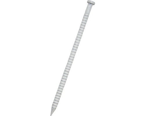 DRESSELHAUS Ringnagel 1,6x26 mm platkop wit, 140 stuks Een enkele spijker met een geribbelde schacht.
