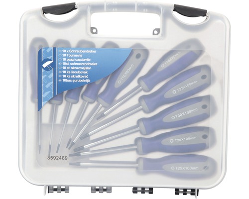Schroevendraaierset met tien delen in kunststof koffer