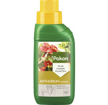 POKON Antrurium voeding 250 ml