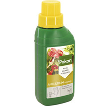 POKON Antrurium voeding 250 ml