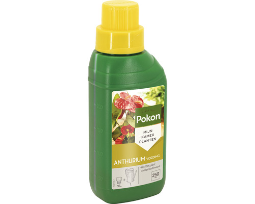 Pokon Anthurium plantenvoeding in een groene fles met gele dop