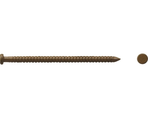 DRESSELHAUS Ringnagel 1,6x26 mm platkop licht bruin, 140 stuks DRESSELHAUS Ringnagel 1,6x26 mm platkop licht bruin, 140 stuks