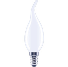 Kaarslamp met E14 fitting en gebogen vorm