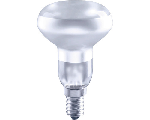 Ampoule LED FLAIR à intensité lumineuse variable A67 E27/11W(100W) 1521 lm  2700 K blanc chaud mat - HORNBACH Luxembourg