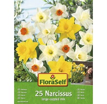 FLORASELF Bloembollen Narcissen gemengd 25 st.-thumb-0