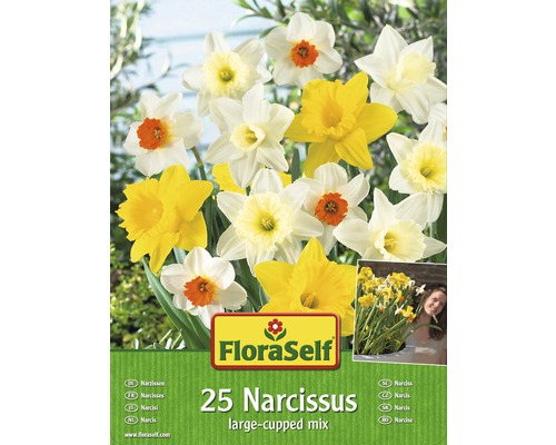 FLORASELF Bloembollen Narcissen gemengd 25 st.-0