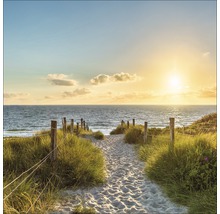 Een zandpad leidt naar de zee, omzoomd door gras en een houten hek.