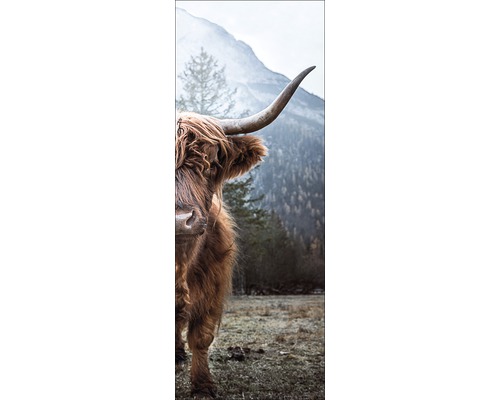 PURE LIVING Schilderij canvas Highland Cattle 27x77 cm