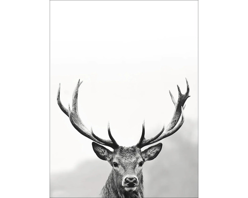 PURE LIVING Decopaneel Grey Deer Head III 30x40 cm