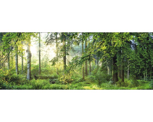PURE LIVING Schilderij glas Forest Harmony I 30x80 cm