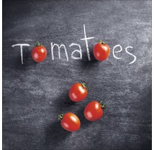 Illustratie met tomaten en het woord tomaten op een schoolbord