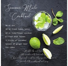 Recept voor Summer Mule cocktail met gin, citroensap, vlierbloesemsiroop, munt, komkommer, gemberbier en ijsblokjes.