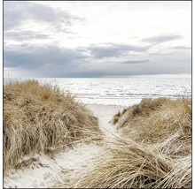 Een pad door duingras leidt naar de zee.