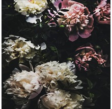 Close-up van witte en roze pioenrozenbloemen
