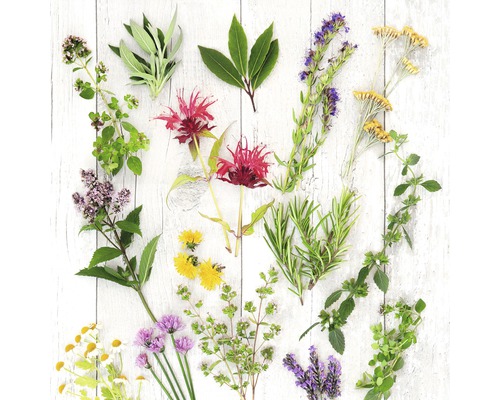 PURE LIVING Schilderij glas Herbs & Flowers 20x20 cm