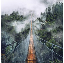 Een lange hangbrug strekt zich uit over een bos in de mist.