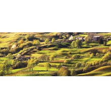 Heuvelachtig landschap met huizen en bomen