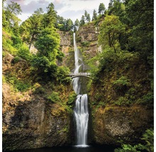 Waterval met brug te midden van bomen