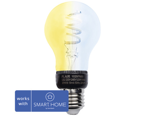 FLAIR Viyu Smart LED lamp E27/5,5W A60 CCT