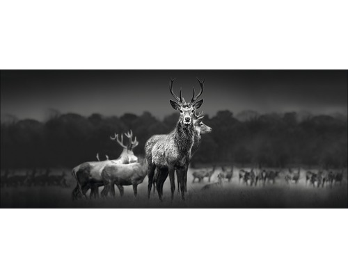 PURE LIVING Schilderij glas Herd Of Deer 30x80 cm