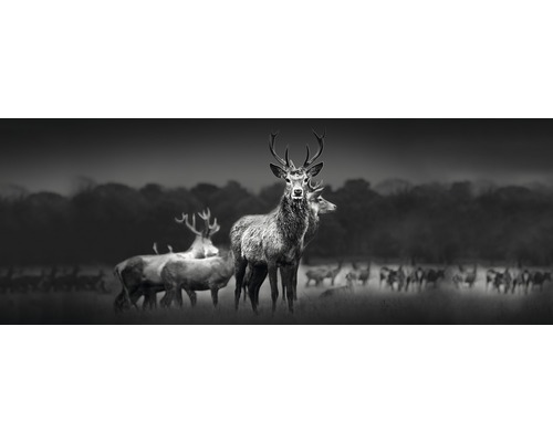 PURE LIVING Schilderij glas Herd Of Deer 50x125 cm