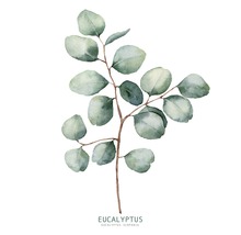 PURE LIVING Schilderij glas Eucalyptus Branches ll 20x20 cm