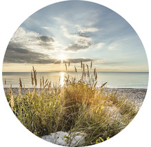 Helmgras op het strand bij zonsopgang