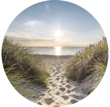 Uitzicht op een strand met duin en zee