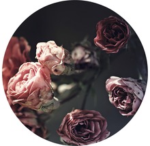 Close-up van rozenbloemen