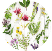 Diverse kruiden en bloemen op een lichte houten ondergrond.