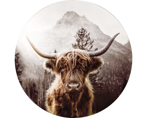 PURE LIVING Schilderij glas Highland Cattle ø 50 cm