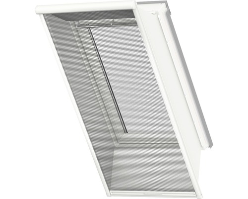 Dakvenster met insectenhor