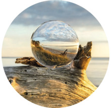 Decoratieve glazen bol op een boomstronk met landschapsreflectie