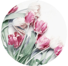 Close-up van tulpen met dauwdruppels
