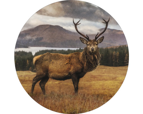 PURE LIVING Schilderij glas Deer In A Field ø 30 cm