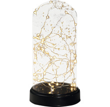 Decoratieve glazen stolp met LED-lichtsnoer