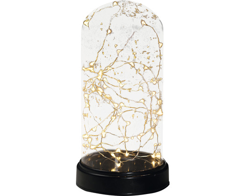 Decoratieve glazen stolp met LED-lichtsnoer