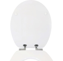 Toiletdeksel van kunststof met scharnieren