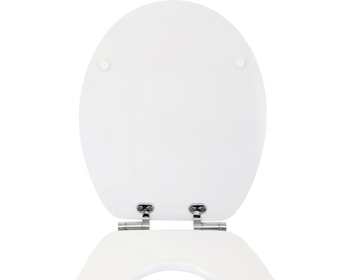 Toiletdeksel van kunststof met scharnieren