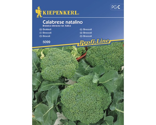 KIEPENKERL Broccoli cal. natalino