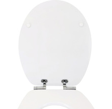 Toiletbril met roestvrijstalen scharnieren