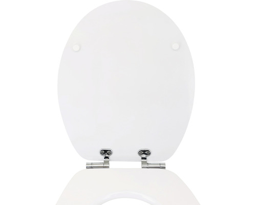 Toiletbril met roestvrijstalen scharnieren